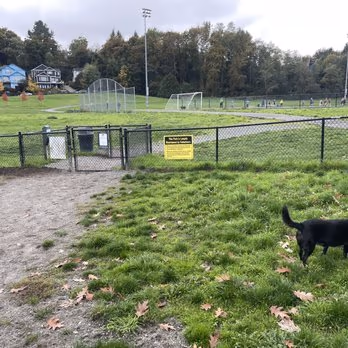 Genesee Park Off-Leash Area photo 1